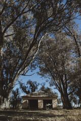 Poster - Beautiful view of an old building in the field with trees