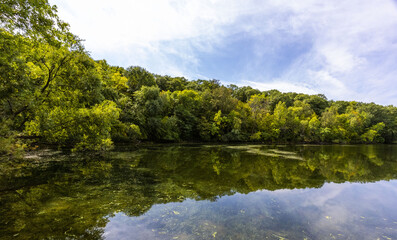 Sticker - Beautiful view of the reflective clear lake Carver surrounded by dense green trees in Minnesota