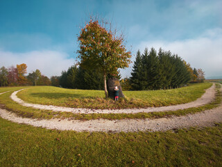 Circular turning trail around a tree on a field