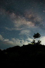 Canvas Print - Beautiful view of the Milky Way above a hill with a tree at night