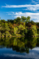 Sticker - Vertical shot of the lake reflecting the beautiful green forest.