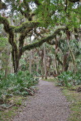 Canvas Print - USA, Florida, Sarasota, Myakka River State Park