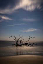 USA, Georgia, Jekyll Island, Sunset At Driftwood Beach And The Petrified Trees