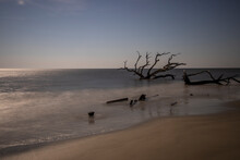 USA, Georgia, Jekyll Island, Sunset At Driftwood Beach And The Petrified Trees