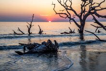 USA, Georgia, Jekyll Island, Sunrise On Driftwood Beach Of Petrified Trees