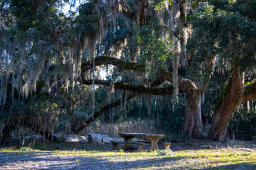 Sticker - USA, Georgia, Jekyll Island, A walk on the island