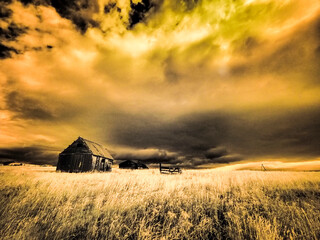 Poster - USA, Idaho, Liberty, Infrared of old cabin near Liberty