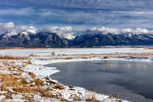 Whitetail Deer And Wetlands Pond In Winter At Ninepipe National Wildlife Refuge Near Ronan, Montana, USA