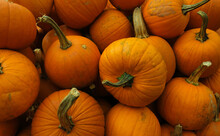 Closeup Shot Of A Pile Of Pumpkins