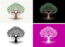 Banyan Tree Illustrations In Four Color Variants