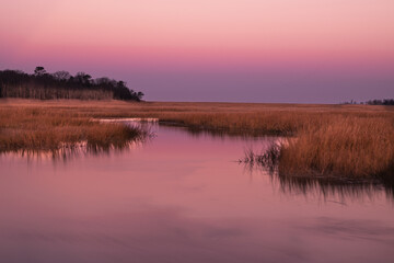 Wall Mural - USA, New Jersey, Cape May National Seashore. Sunrise on marsh pond.