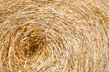 Circle Thatch Texture And Wallpaper