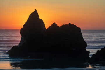 Canvas Print - Humbug Point at sunset near Cannon Beach, Oregon, USA