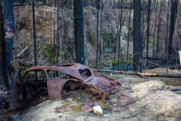 Sticker - Remnants of vast forest fire along the North Umpqua River in the Umpqua National Forest, Oregon, USA