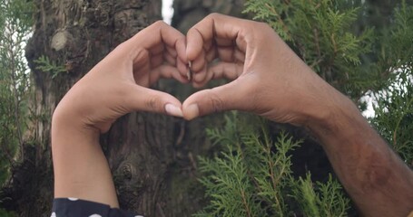 Sticker - The footage of a lovely couple celebrating their anniversary in a park in India