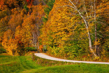 Sticker - USA, New England, Vermont, curved dirt road and sugar maple trees in Fall colors.