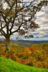 Canvas Print - USA, Virginia, Shenandoah National Park, fall color