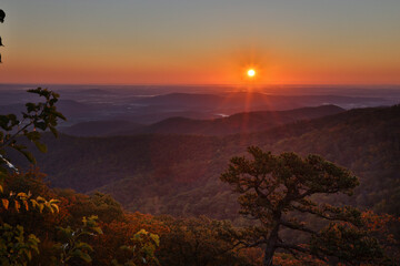 Poster - USA, Virginia, Shenandoah National Park, Sunrise along Skyline Drive in the Fall