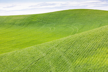 Sticker - Pullman, Washington State, USA. Rolling wheat fields in the Palouse hills.