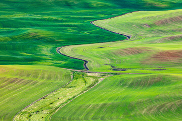 Sticker - Steptoe Butte State Park, Washington State, USA. Rolling wheat fields in the Palouse hills.