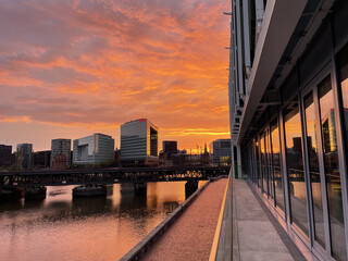 Poster - River and a bridge in a modern city on the sunset