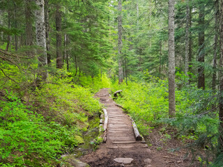 Canvas Print - Washington State, Central Cascades, Trail to Pratt Ridge