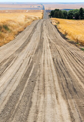 Sticker - Tracks on a gravel road in eastern Washington State, USA