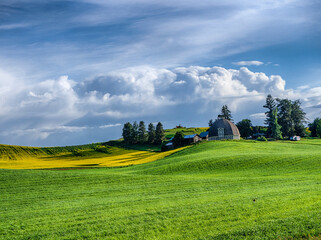 Sticker - USA, Washington State, Palouse, Rolling hills of canola and wheat