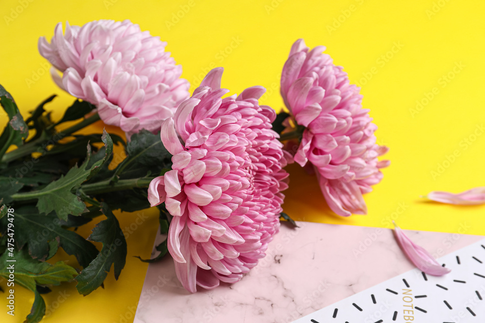 Beautiful chrysanthemum and notebook on yellow background, closeup