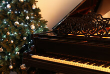 Grand Piano And Christmas Tree In Room, Closeup