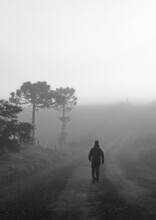 Homem Caminhando Em Dia De Neblina Com Silhueta De árvores