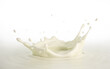 © Science RF - Milk crown splash, illustration