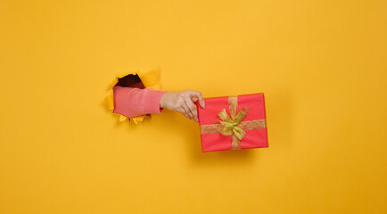 Wall Mural - female hand holds a box with a gift on a yellow background, part of the body sticks out of a torn hole in a paper background. Congratulation, holiday surprise