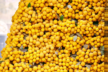 Wall Mural - Heaps of fresh longan, ripe harvest