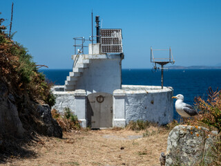 Canvas Print - View of a European herring gull standing on rocks near water with a sunny sky in Cies Islands, Spain