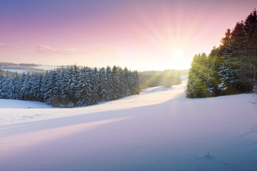 Wall Mural - sunset under the winter trees. christmas background.