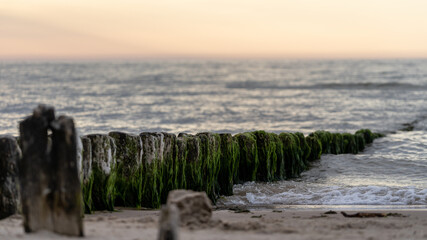 Sticker - Scenic view of rocks covered in green moss on the beach