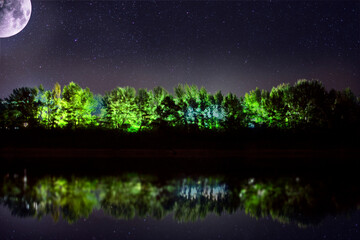 Wall Mural - the night sky with the moon on the background of the forest. space for copying text