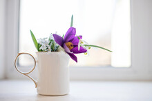 White Ceramic Jug With Bouquet Of Primroses Listed In The Red Book On The Window. Poaching. Pulsatilla Patens, Eastern Pasqueflower, Prairie Crocus, Cutleaf Anemone, Scilla, Snowdrop Torn Fresh.