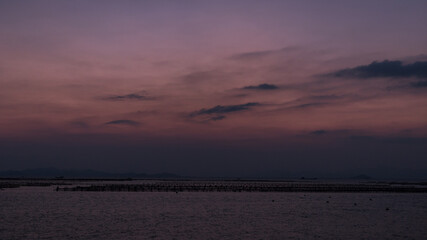 Wall Mural - beautiful pink sky during sunset, artsy aesthetic