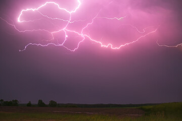 Wall Mural - Lightning with with beautiful purple light, thunderstorm at summer