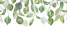 Long Seamless Banner With Watercolor Hand Painted Green Leaves On Twigs Hanging Down. Design Header For Greeting Cards And Cards