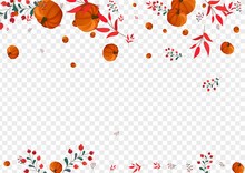 Orange Gourd Background Transparent Vector. Colorful Season Illustration. Green Plant Botanical Card. Rowan Decorative. Farm Border.