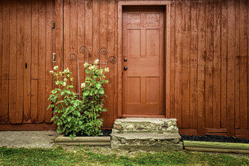 Poster - Wooden brown house facade with a brown door and a green plant