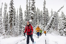 Friends Backcountry Skiing Among Snowy Winter Trees