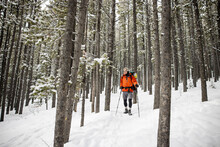 Man On Winter Hike Through Snowy Forest