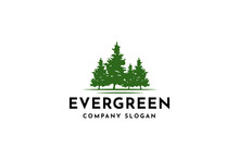 Evergreen Pine Tree, Hemlock, Evergreen, Pines, Spruce, Cedar Trees Logo Design Vector Illustration.
