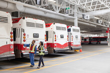 Workers Inspecting Buses In Transit Garage