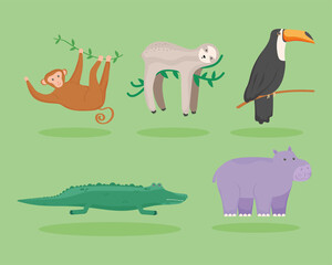 Poster - exotic animals of wildlife