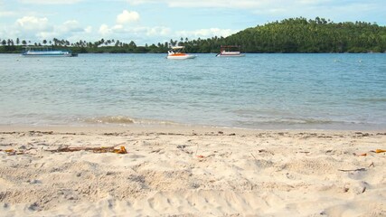 Wall Mural - Region near the mouth of the river that flows into the sea, sandy river bank and brackish water. Some boats on the water and green vegetation. Carneiros region, Formoso river of Tamandare PE Brazil.